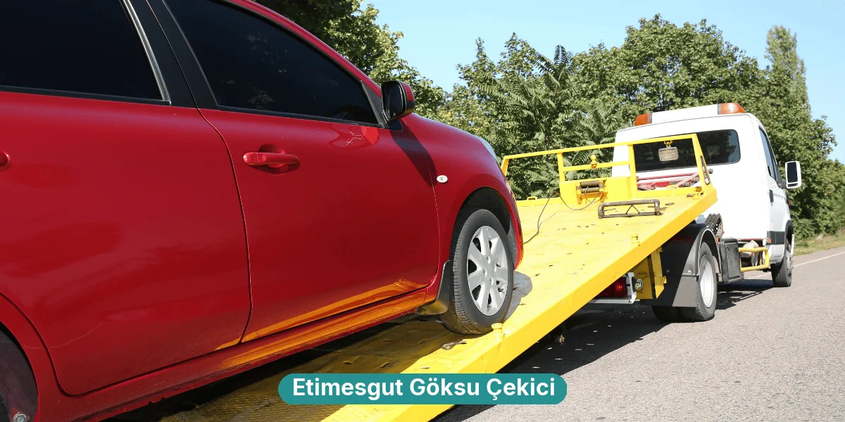 Etimesgut Göksu Çekici